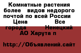 Комнатные растения более200видов недорого почтой по всей России › Цена ­ 100-500 - Все города  »    . Ненецкий АО,Харута п.